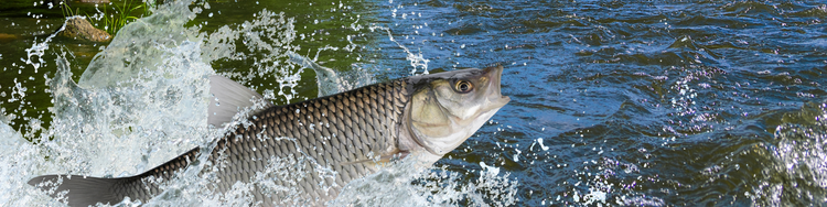 fishing blanket