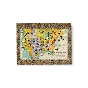 Ducks goose swans fly US map Matte Canvas (1.25")