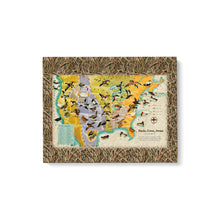 Load image into Gallery viewer, Ducks goose swans fly US map Matte Canvas (1.25&quot;)